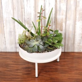 Mixed succulent planter in a low white metal pot on a three-legged stand
