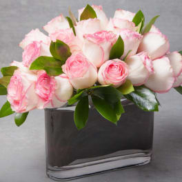 Pacific Heights Pinks