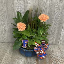 Potted green plant with peach carnations and a football ribbon in a blue container