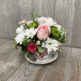 Designer’s Choice Teacup