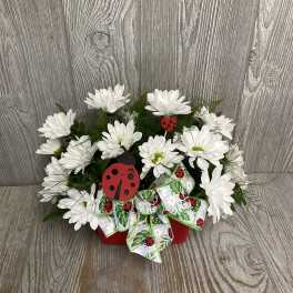 White daisy bouquet in a red container with a ladybug ribbon