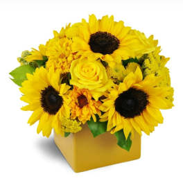 Yellow sunflower and rose arrangement in a square yellow vase