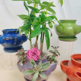 Potted plant arrangement with a pink rose and succulents in a purple ceramic container