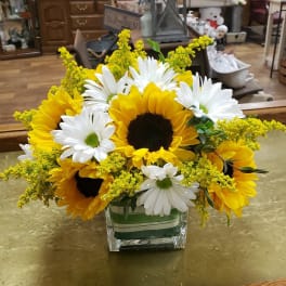 Sunflowers and white daisies in a square glass vase