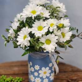Carol’s Daisies
