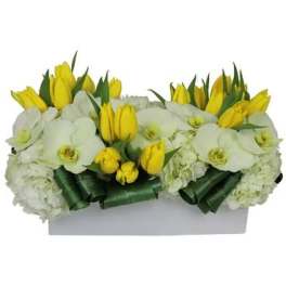Yellow tulips and white orchids arranged in a white box