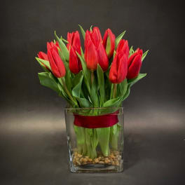 Red tulips arranged in a clear glass vase with pebbles
