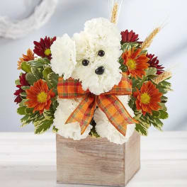 White teddy bear floral arrangement with orange daisies and plaid bow in a wooden box