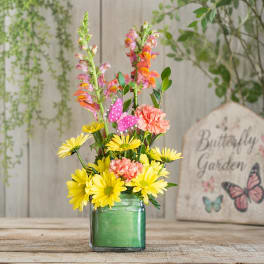 Butterfly Garden