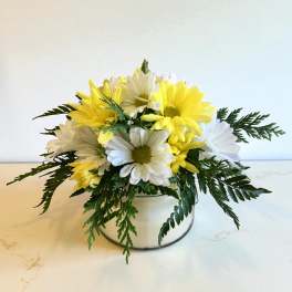 Yellow and white daisies arranged in a low white container