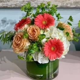 Short vase arrangement with coral gerbera daisies, peach roses, and white hydrangeas in a clear glass cylinder