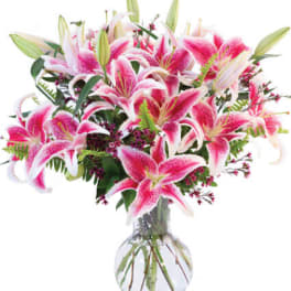 Pink stargazer lilies in a clear glass vase