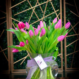 Tulip Extravaganza