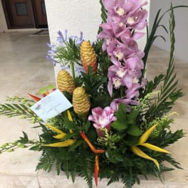 Tropical Spring Time