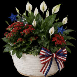 Patriotic Plant Garden