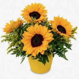 Sunny Sunflowers