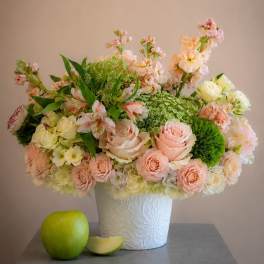 Rosa Prezioso (NEW)