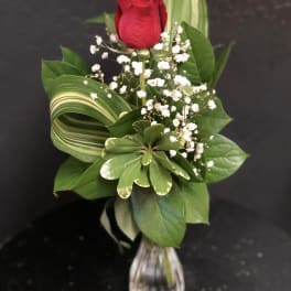 Single Rose in Vase