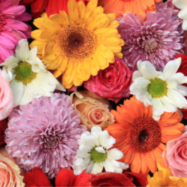 Mixed bouquet of gerbera daisies, roses, and chrysanthemums in bright colors