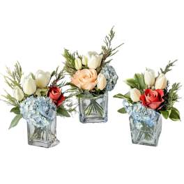Tulip Trio