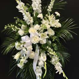 Pure White