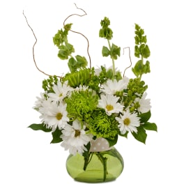 Dots and Daisies TMF14-221