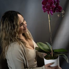Woman holding a potted purple orchid plant