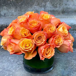 Three Dozen Classic Roses - Designer's Choice Color