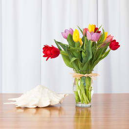 Mixed bouquet of red, yellow and purple tulips in a clear glass vase beside a large white seashell