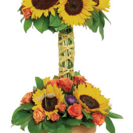 Dragonfly Sunflowers