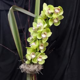 Green orchid arrangement in a tall glass vase with long leaves