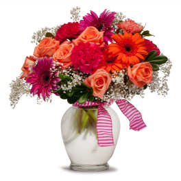 Sherbet TMF13-275