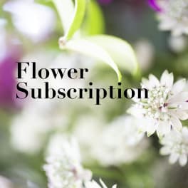 Blurred white flowers with the words Flower Subscription