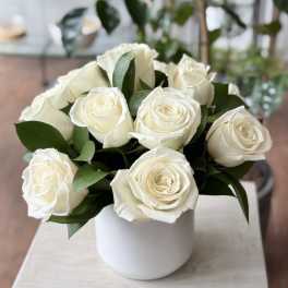 White roses arranged in a white cylindrical vase with dark green leaves