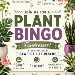 Pawfect Plant Bingo 9/24 Fundraiser
