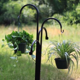 Two hanging potted plants on a black metal stand outdoors