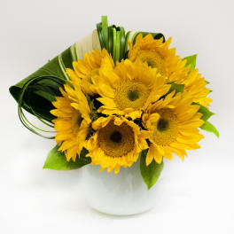 Sunny Sunflower