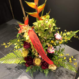 Tropical Anuenue AR2502