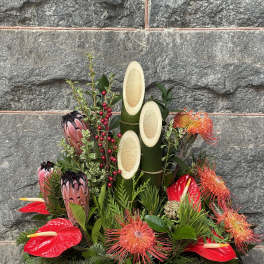 Kadomatsu Tropical Sunrise AR2401