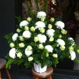 Roses and Mums