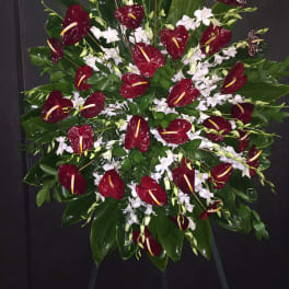 Red Anthurium and White Orchid Spray Wreath - F175W02