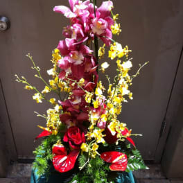 Cymbidium Spray CYM1021