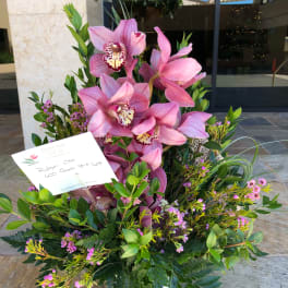 Pink Cymbidium CYM101
