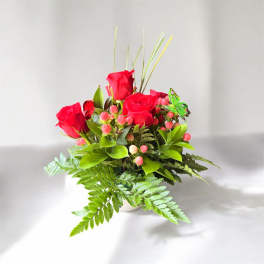 Rose garden B2611