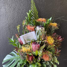 Showcase of Maui Trop2101