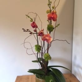 Flirty Floral