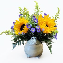 Hippity-Hop Sunflower Frog