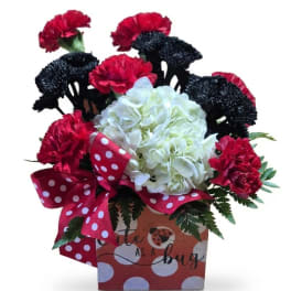 Red and black carnations with white hydrangea in a decorative box
