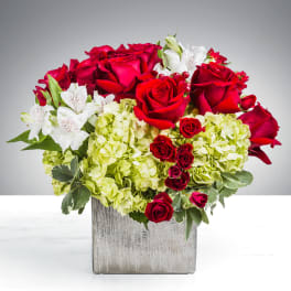 Winters Romance By BloomNation