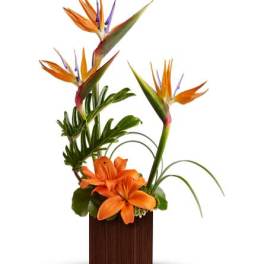 Bamboo Paradise